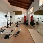 Dei Mumi